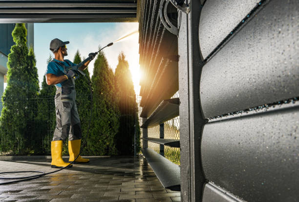 Best Roof Pressure Washing  in Cedar Grove, WI